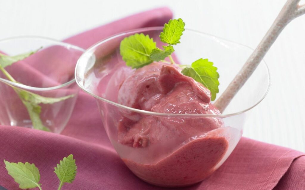 Glace Yaourt Framboise à la mélisse Léger