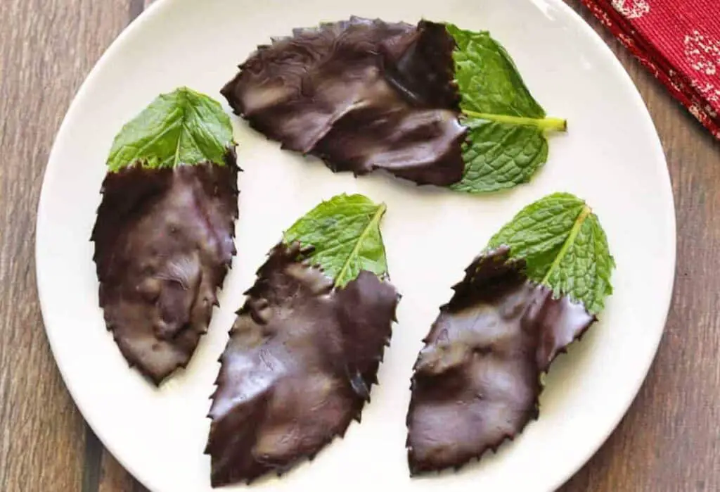 Feuilles de Menthe au Chocolat Légères