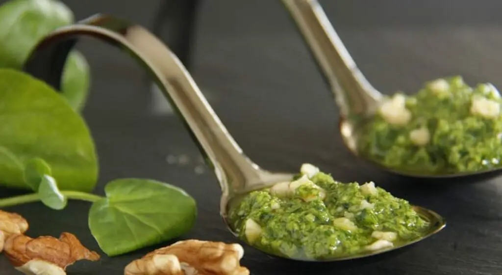 Sauce Pesto au cresson et noix au Thermomix