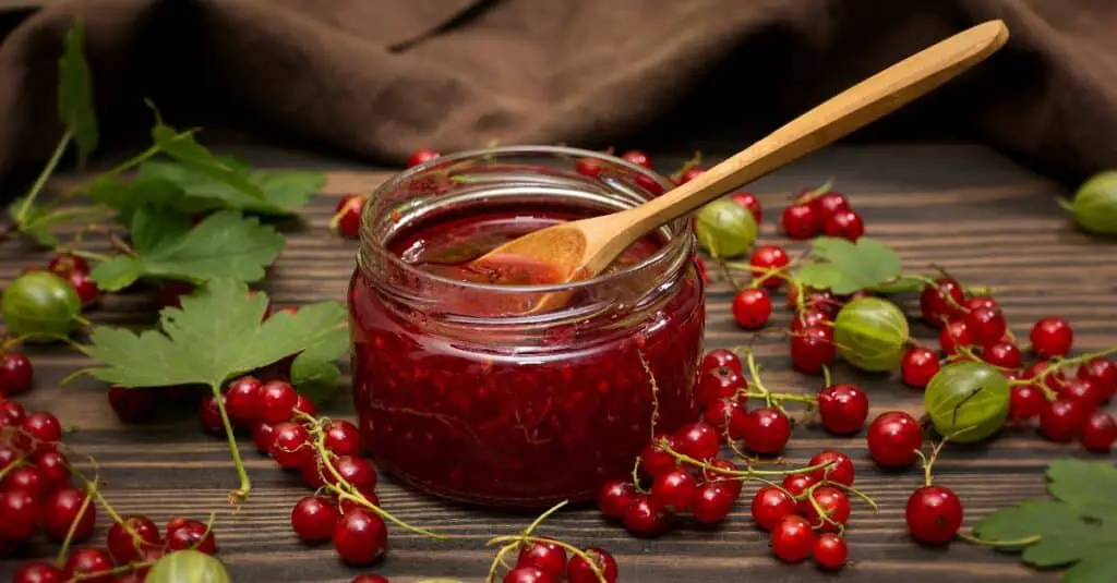 Confiture de groseilles au Thermomix : Une explosion de saveurs fruitées