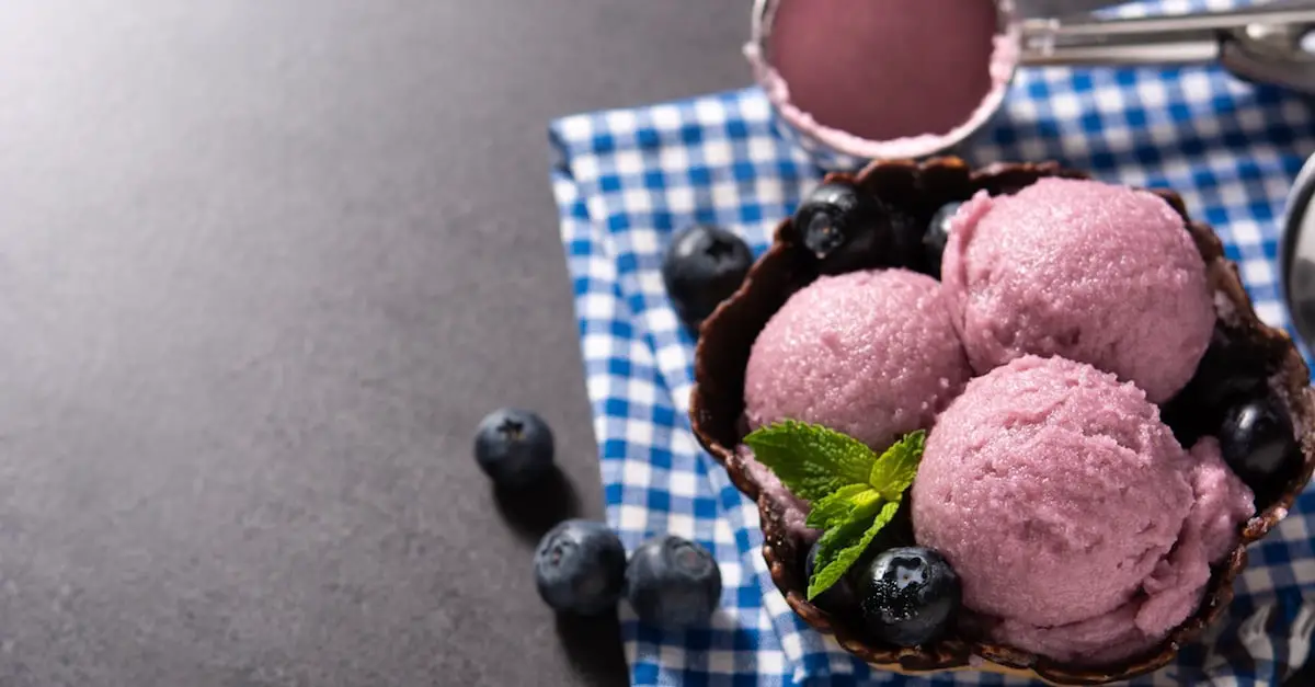 Crème glacée aux bleuets au Thermomix : Une explosion de saveurs fruitées et crémeuses