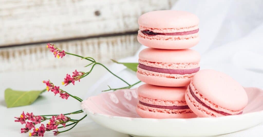 Macarons à la fraise au Thermomix : Une symphonie gustative entre douceur et fraîcheur fruitée