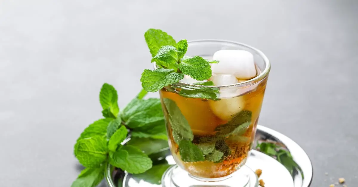 Cocktail Mint Julep : Élégance et Saveurs pour Tous