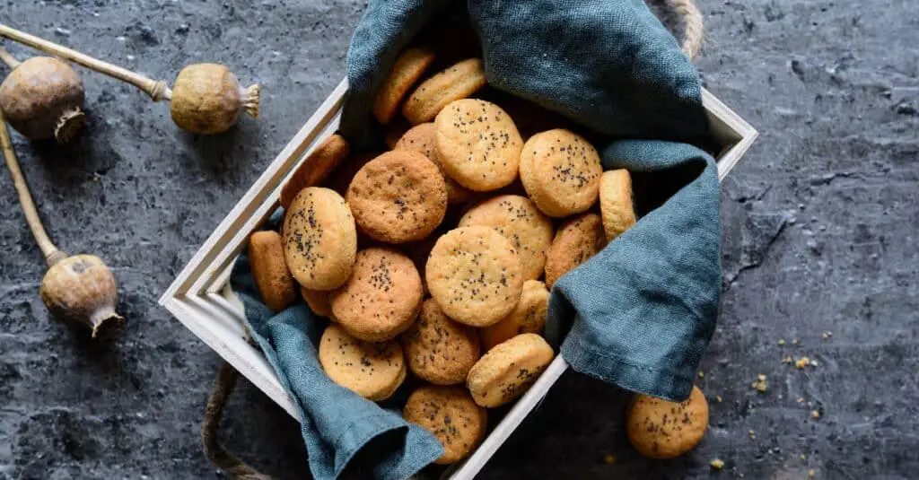 Craquelins Salés au Cheddar au Thermomix : Croustillants et Délicieux