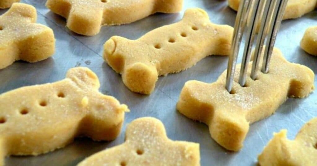 Biscuits pour Chiens au Thermomix : Des Gourmandises pour Votre Compagnon à Quatre Pattes