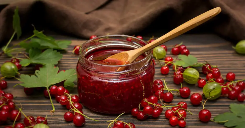 Confiture de Groseilles sans Sucre au Thermomix : Une Explosion de Saveurs Naturelles