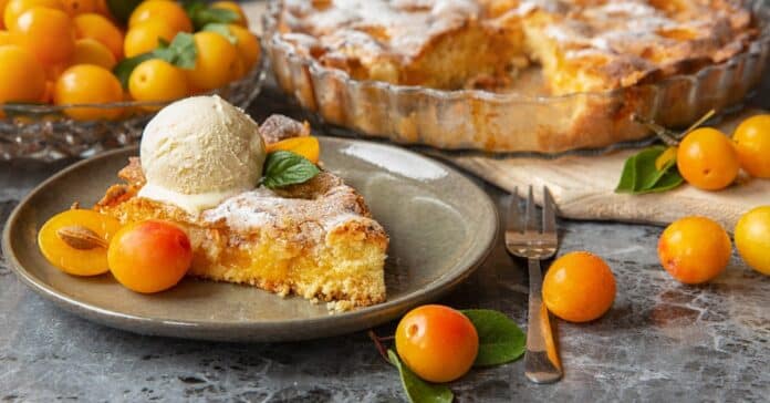 Gâteau aux Mirabelles au Thermomix : Un Délice Fruité et Moelleux