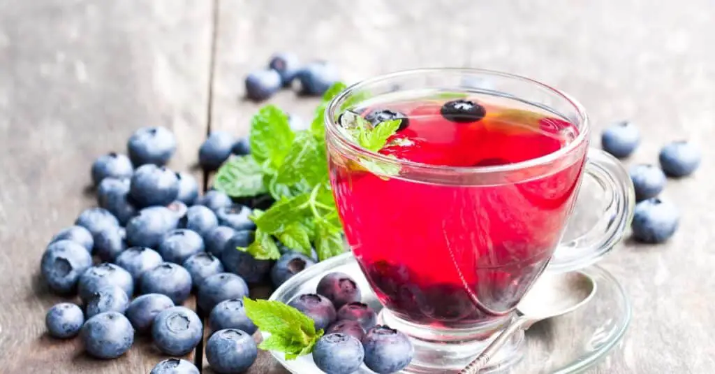 Thé aux Bleuets à la Menthe au Thermomix : Une Boisson Rafraîchissante et Fruitée