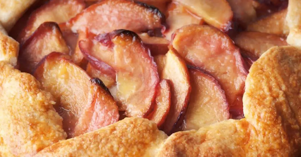 Galette Rustique à la Nectarine au Thermomix : Un Dessert Simple et Savoureux