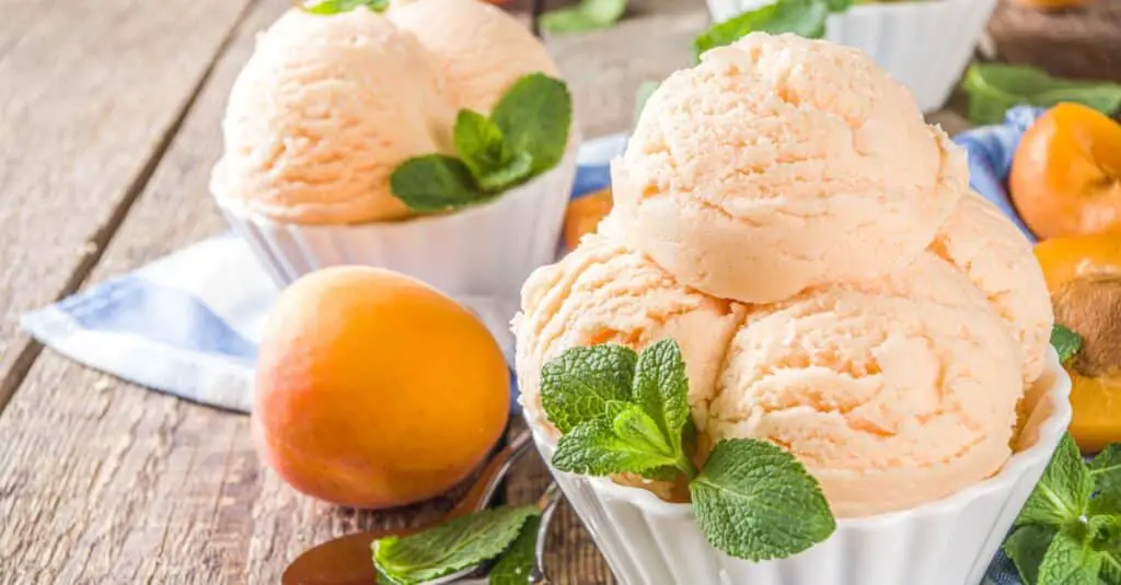 Sorbet Maison aux Abricots au Thermomix : Fraîcheur Fruité pour l'Été