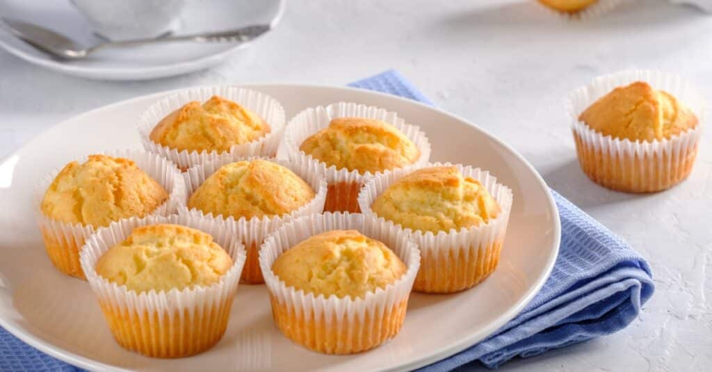 Muffins Nature Weight Watchers