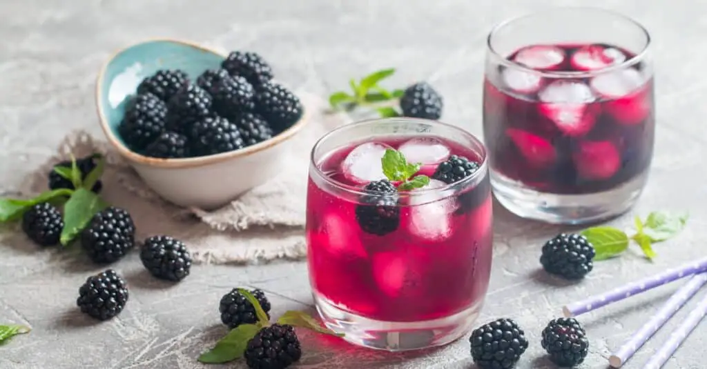 Limonade Fraîche aux Mûres et à la Menthe au Thermomix : Un Cocktail Estival Délicieusement Fruité